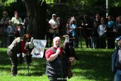 grugapark-greifvogelschau-2012-04-187