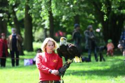 grugapark-greifvogelschau-2012-04-210