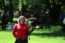 grugapark-greifvogelschau-2012-04-211