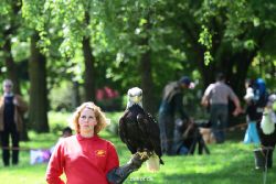 grugapark-greifvogelschau-2012-04-213