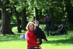 grugapark-greifvogelschau-2012-04-215