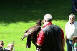 grugapark-greifvogelschau-2012-04-216