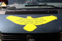 grugapark-greifvogelschau-2012-04-240
