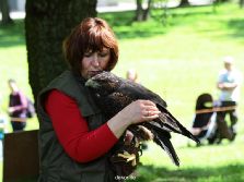 grugapark-greifvogelschau-2012-04-284