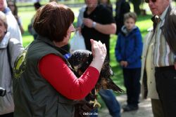grugapark-greifvogelschau-2012-04-286