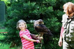 grugapark-greifvogelschau-2012-04-291