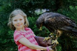 grugapark-greifvogelschau-2012-04-293