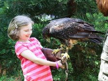 grugapark-greifvogelschau-2012-04-294