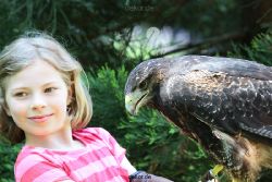 grugapark-greifvogelschau-2012-04-295