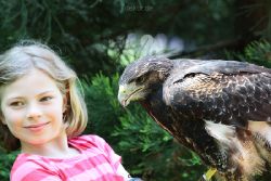 grugapark-greifvogelschau-2012-04-296