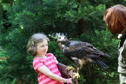 grugapark-greifvogelschau-2012-04-298