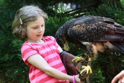 grugapark-greifvogelschau-2012-04-300