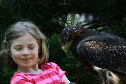 grugapark-greifvogelschau-2012-04-301
