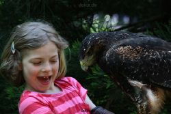 grugapark-greifvogelschau-2012-04-302