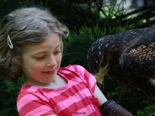 grugapark-greifvogelschau-2012-04-303