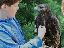 grugapark-greifvogelschau-2012-04-312