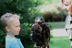 grugapark-greifvogelschau-2012-04-313