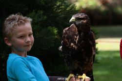grugapark-greifvogelschau-2012-04-315