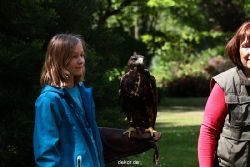 grugapark-greifvogelschau-2012-04-318
