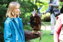 grugapark-greifvogelschau-2012-04-319