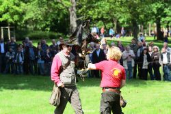 grugapark-greifvogelschau-2012-04-325