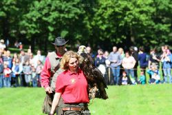 grugapark-greifvogelschau-2012-04-328