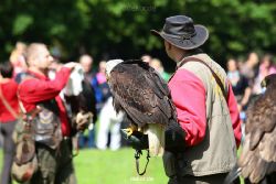 grugapark-greifvogelschau-2012-04-329