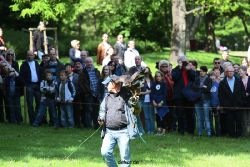 grugapark-greifvogelschau-2012-04-330