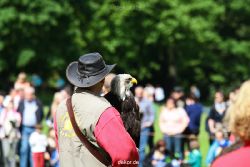 grugapark-greifvogelschau-2012-04-331