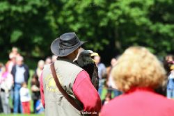 grugapark-greifvogelschau-2012-04-333