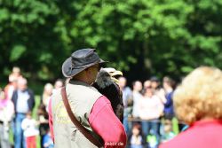 grugapark-greifvogelschau-2012-04-334