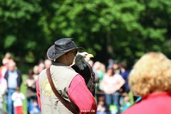 grugapark-greifvogelschau-2012-04-335