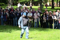 grugapark-greifvogelschau-2012-04-336