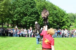 grugapark-greifvogelschau-2012-04-342