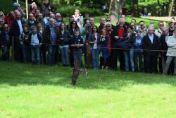 grugapark-greifvogelschau-2012-04-350