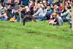 grugapark-greifvogelschau-2012-04-352