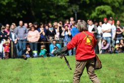 grugapark-greifvogelschau-2012-04-358