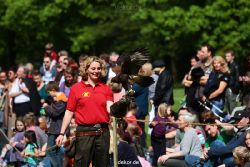 grugapark-greifvogelschau-2012-04-376