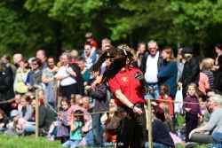 grugapark-greifvogelschau-2012-04-378