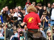 grugapark-greifvogelschau-2012-04-381