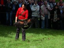 grugapark-greifvogelschau-2012-04-387