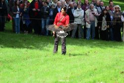 grugapark-greifvogelschau-2012-04-388