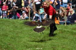 grugapark-greifvogelschau-2012-04-399