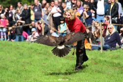 grugapark-greifvogelschau-2012-04-400