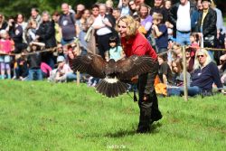 grugapark-greifvogelschau-2012-04-401