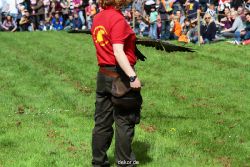 grugapark-greifvogelschau-2012-04-422