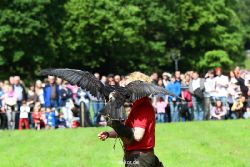 grugapark-greifvogelschau-2012-04-434