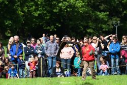 grugapark-greifvogelschau-2012-04-442