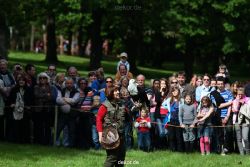 grugapark-greifvogelschau-2012-04-465