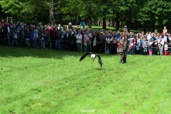 grugapark-greifvogelschau-2012-04-467